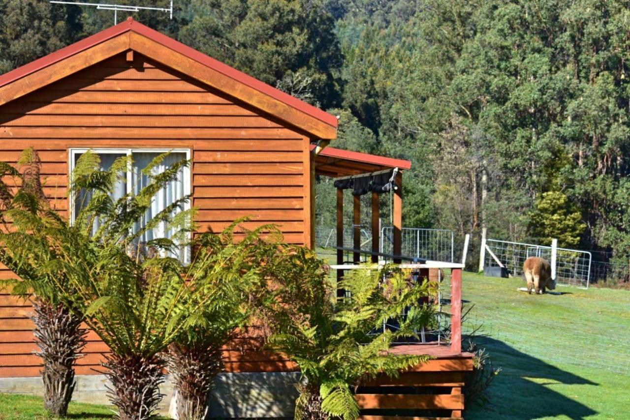 Maydena Mountain Cabins Exteriér fotografie